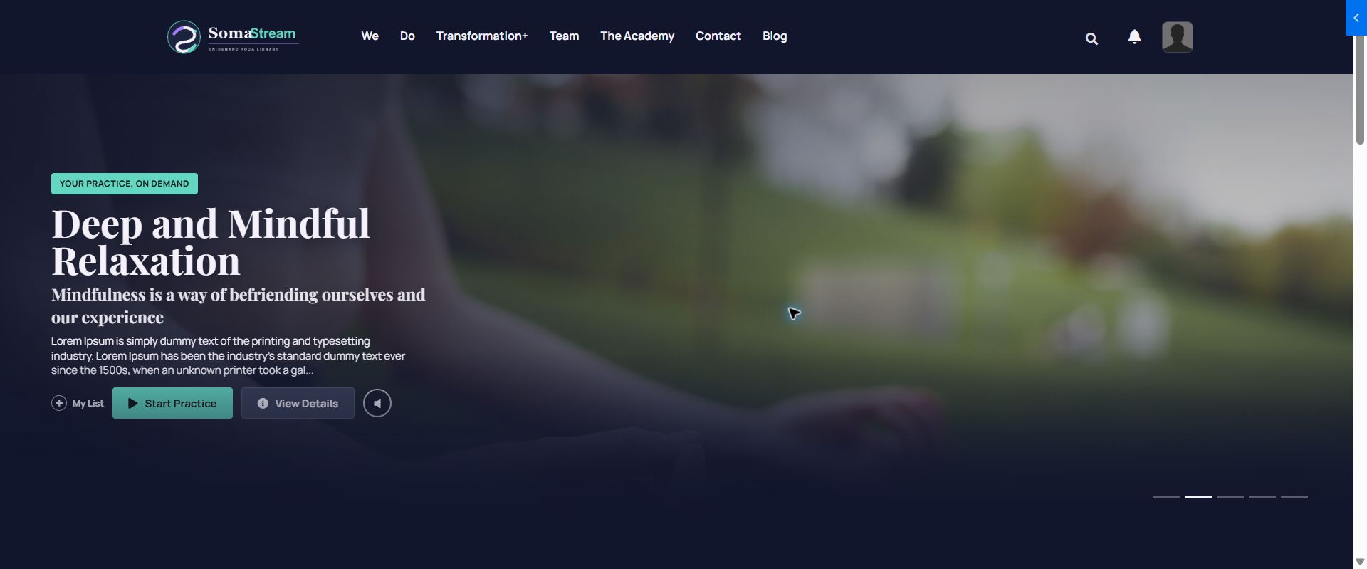 Use the real SomaStream member preview for final verification.